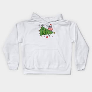 It Wasn't Me! Funny Christmas Cat Kids Hoodie